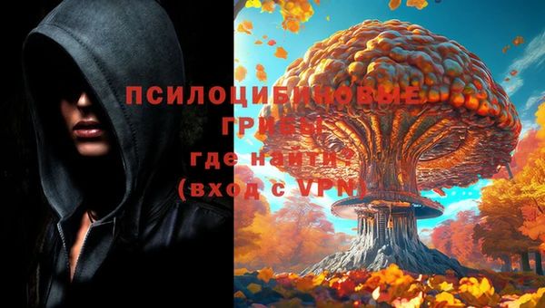 амфетамин Лабытнанги