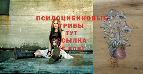 амфетамин Лабытнанги