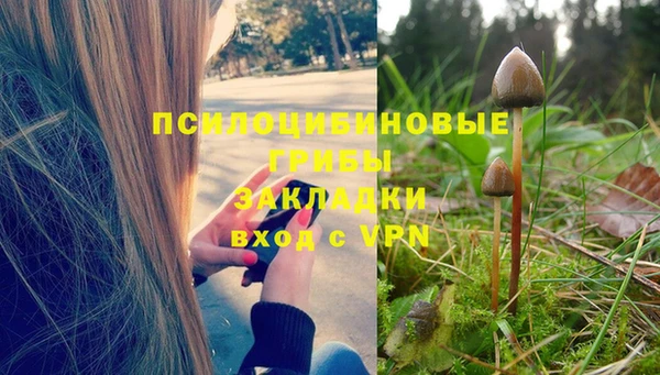 марки nbome Ладушкин