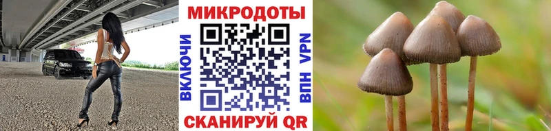 Купить где  Лангепас  Псилоцибиновые грибы Psilocybe 